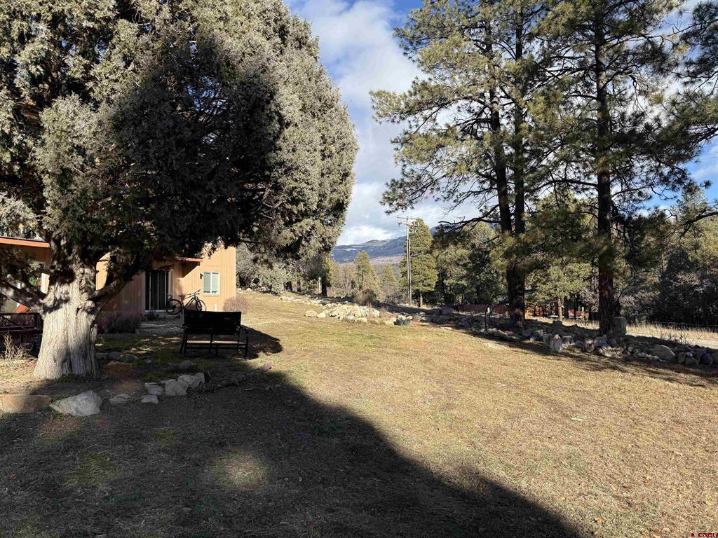 34237 N Highway 550 Durango CO 81301