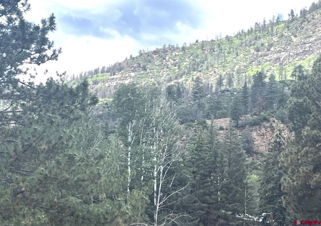 34237 N Highway 550 Durango CO 81301