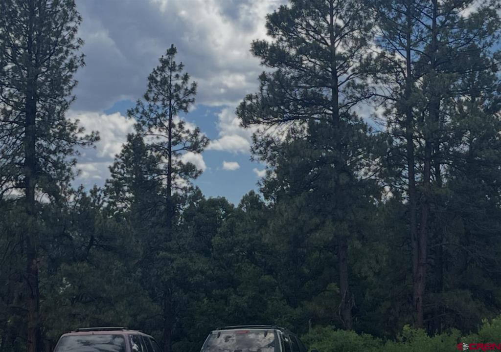 34237 N Highway 550 Durango CO 81301
