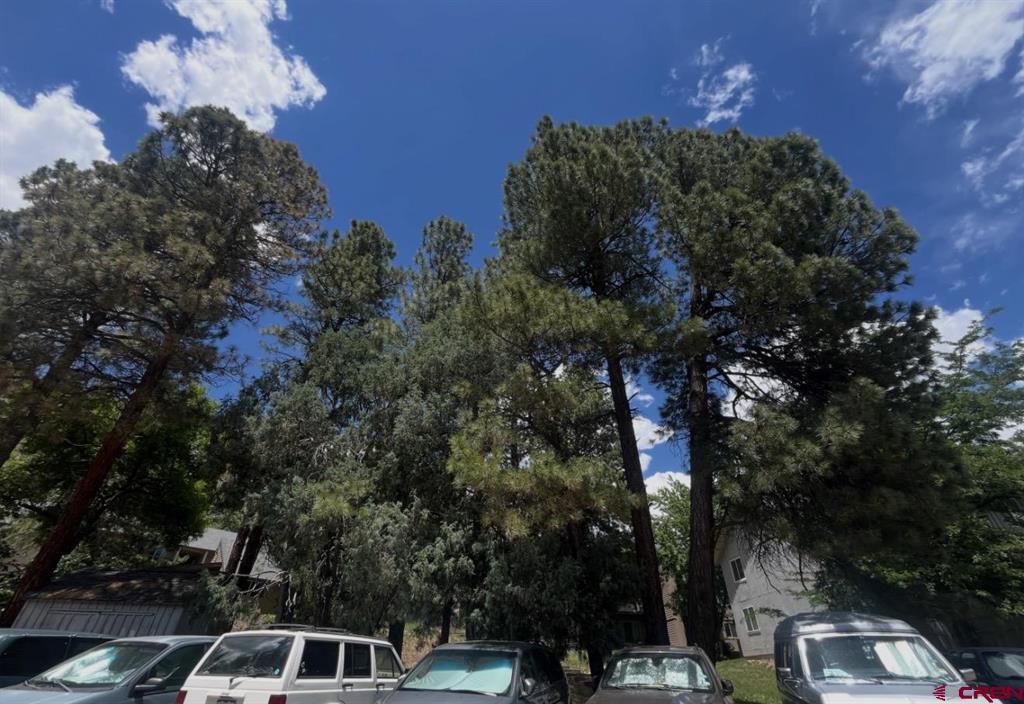 34237 N Highway 550 Durango CO 81301