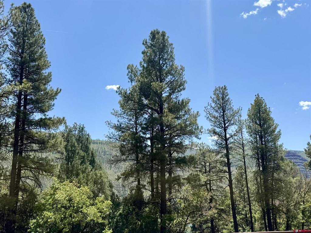 34237 N Highway 550 Durango CO 81301