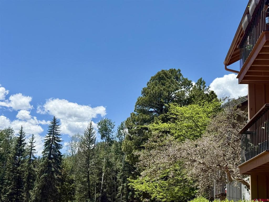 34237 N Highway 550 Durango CO 81301