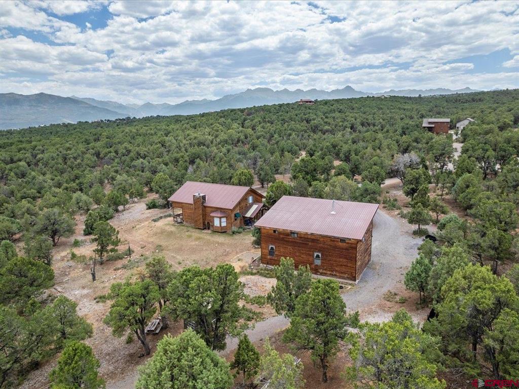 166 Crestwood Drive Ridgway CO 81432
