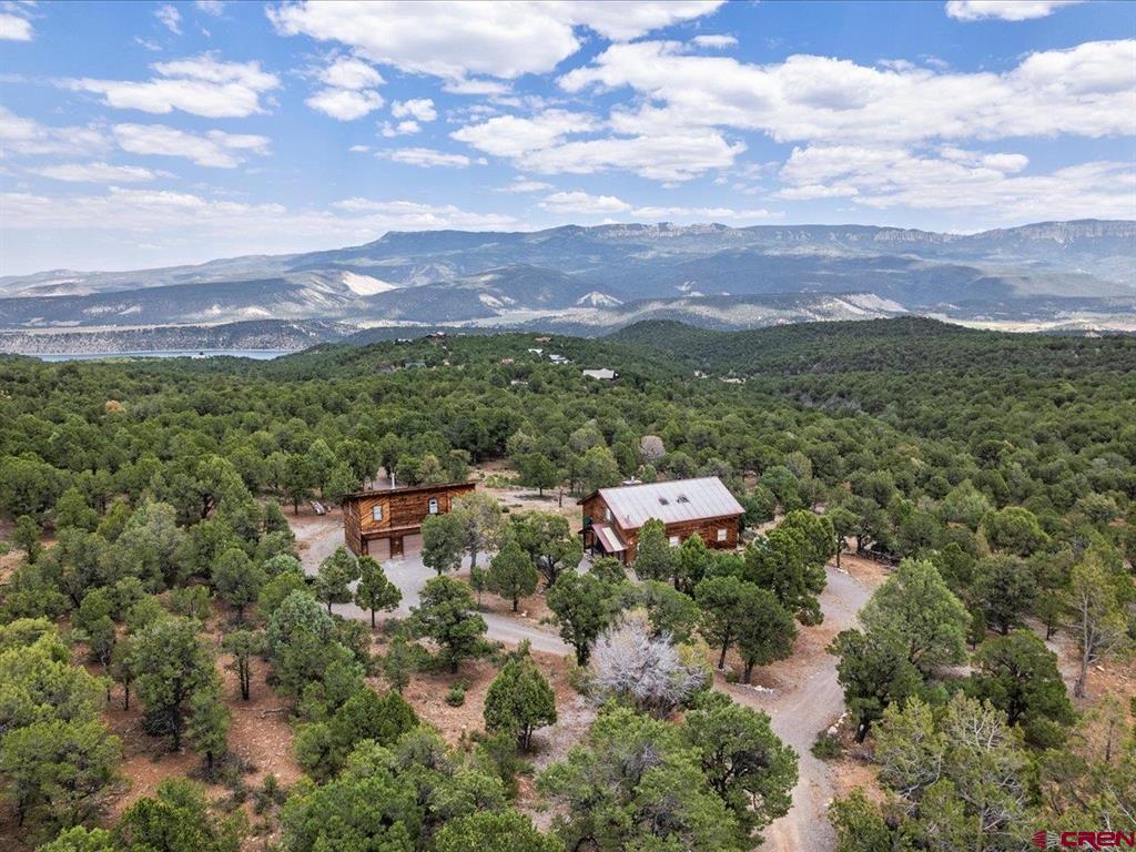 166 Crestwood Drive Ridgway CO 81432