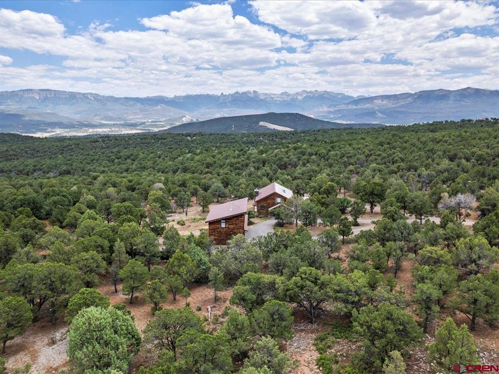 166 Crestwood Drive Ridgway CO 81432