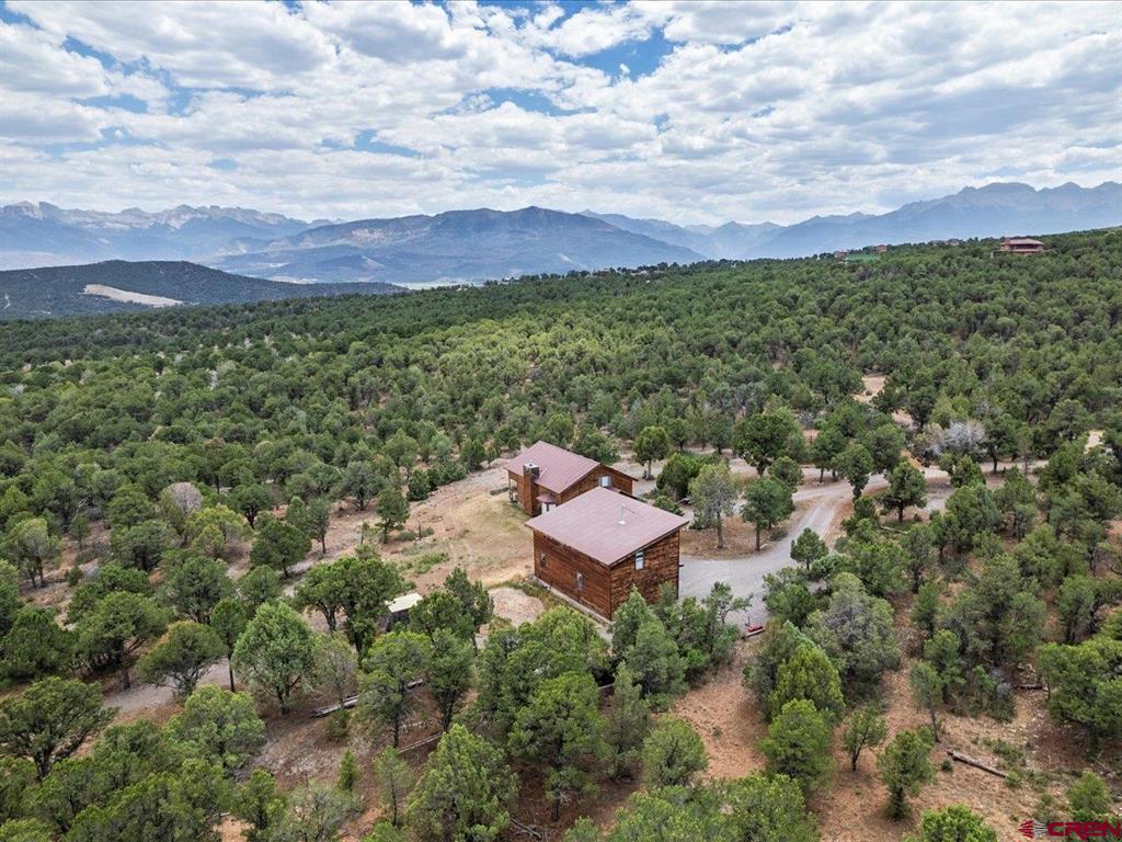 166 Crestwood Drive Ridgway CO 81432
