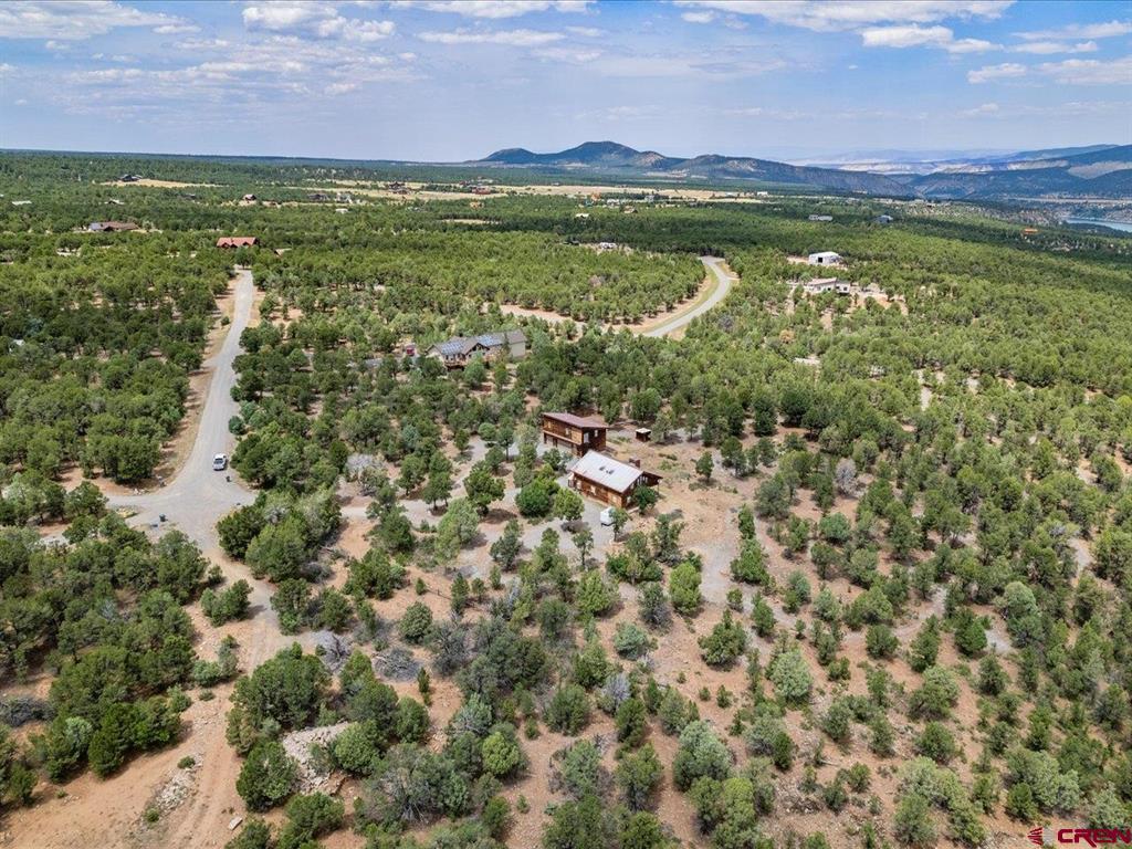 166 Crestwood Drive Ridgway CO 81432