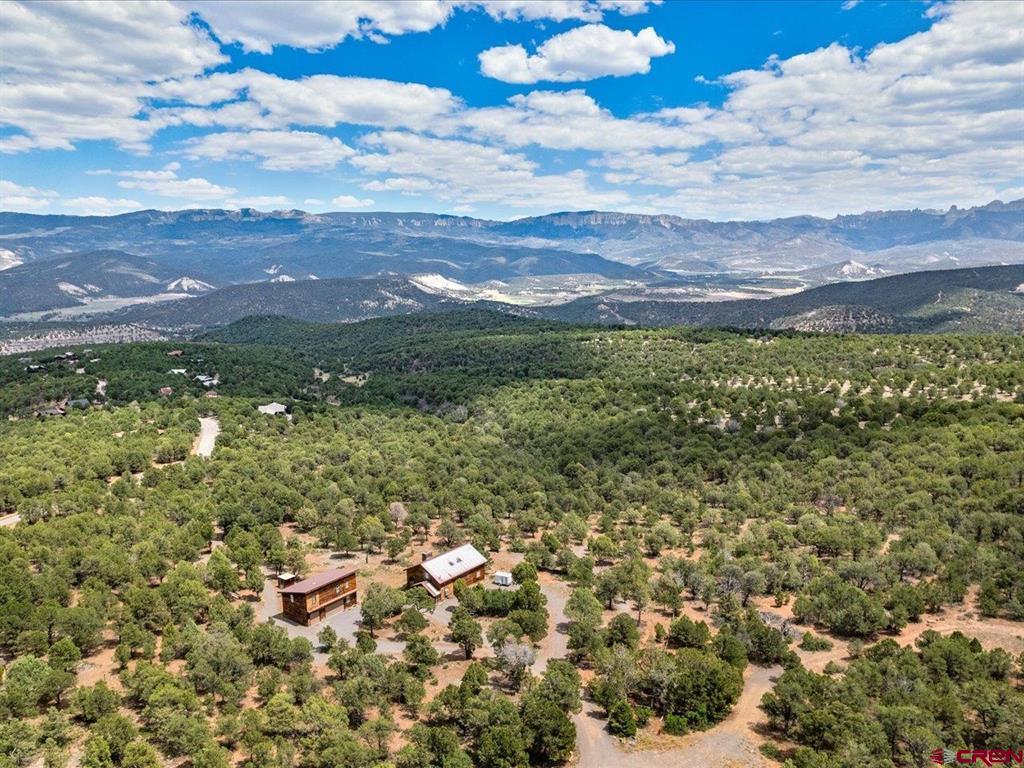 166 Crestwood Drive Ridgway CO 81432