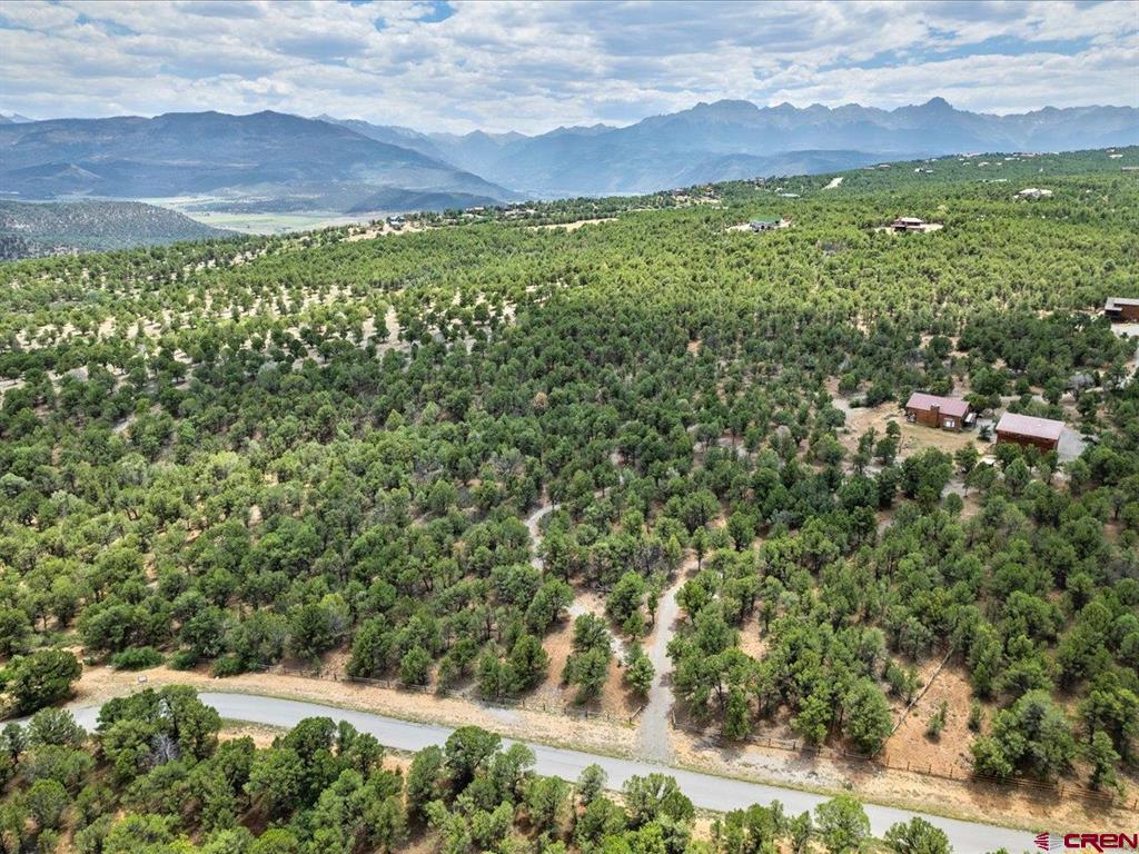 166 Crestwood Drive Ridgway CO 81432