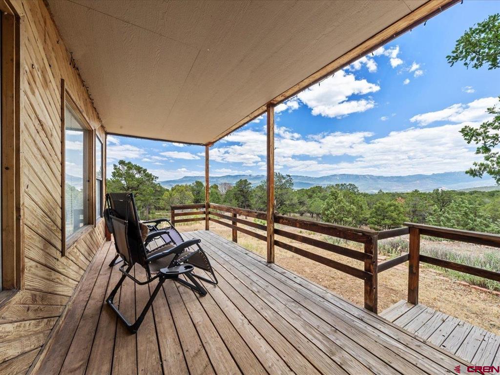 166 Crestwood Drive Ridgway CO 81432