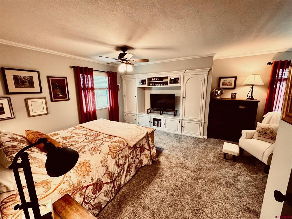 86 Cleek Court Pagosa Springs CO 81147