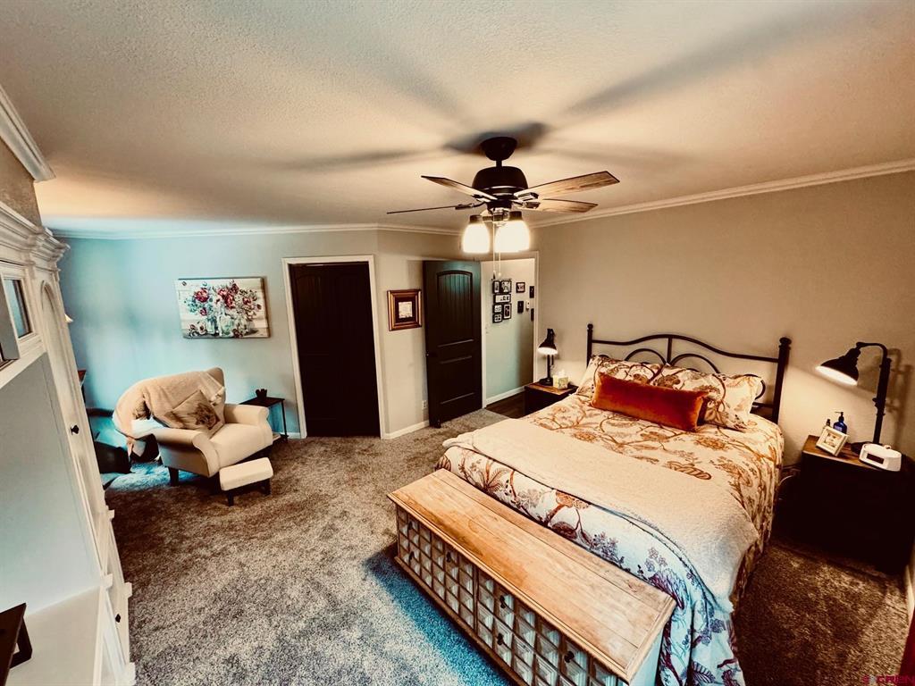 86 Cleek Court Pagosa Springs CO 81147