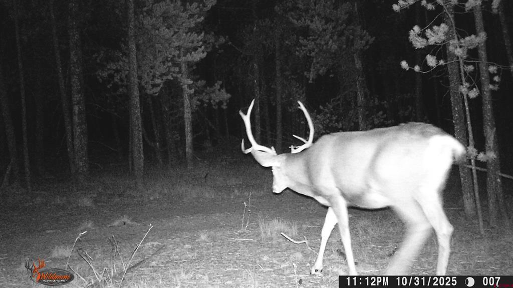 12000 County Road 743 Gunnison CO 81230