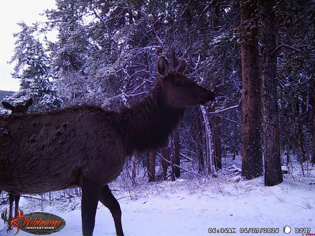 12000 County Road 743 Gunnison CO 81230