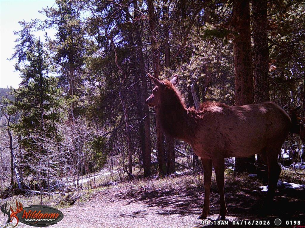 12000 County Road 743 Gunnison CO 81230