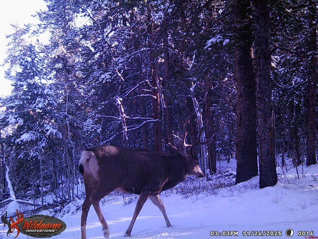 12000 County Road 743 Gunnison CO 81230