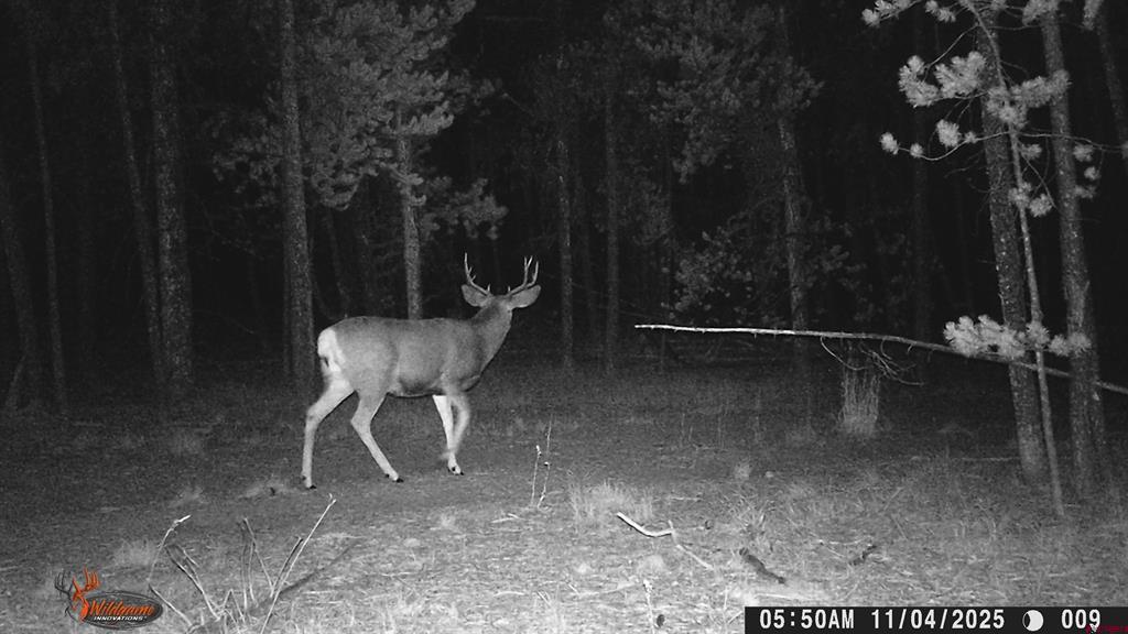 12000 County Road 743 Gunnison CO 81230
