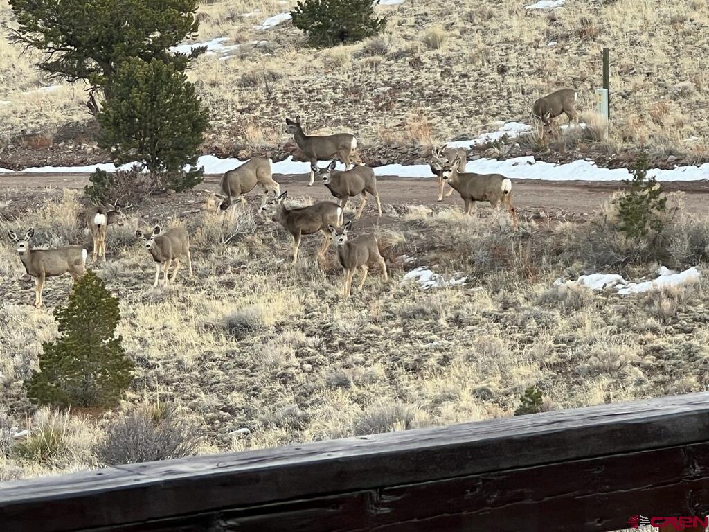 41400 Co Road Cc-36 Road Saguache CO 81149