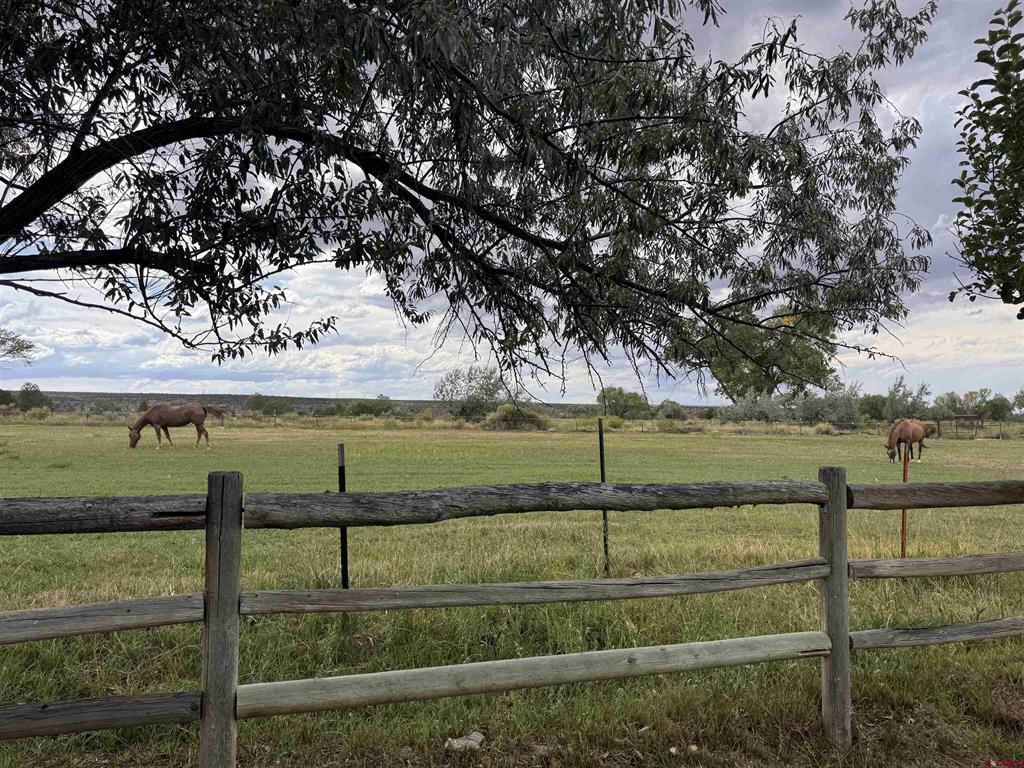 58657 Meadow Lane Montrose CO 81403