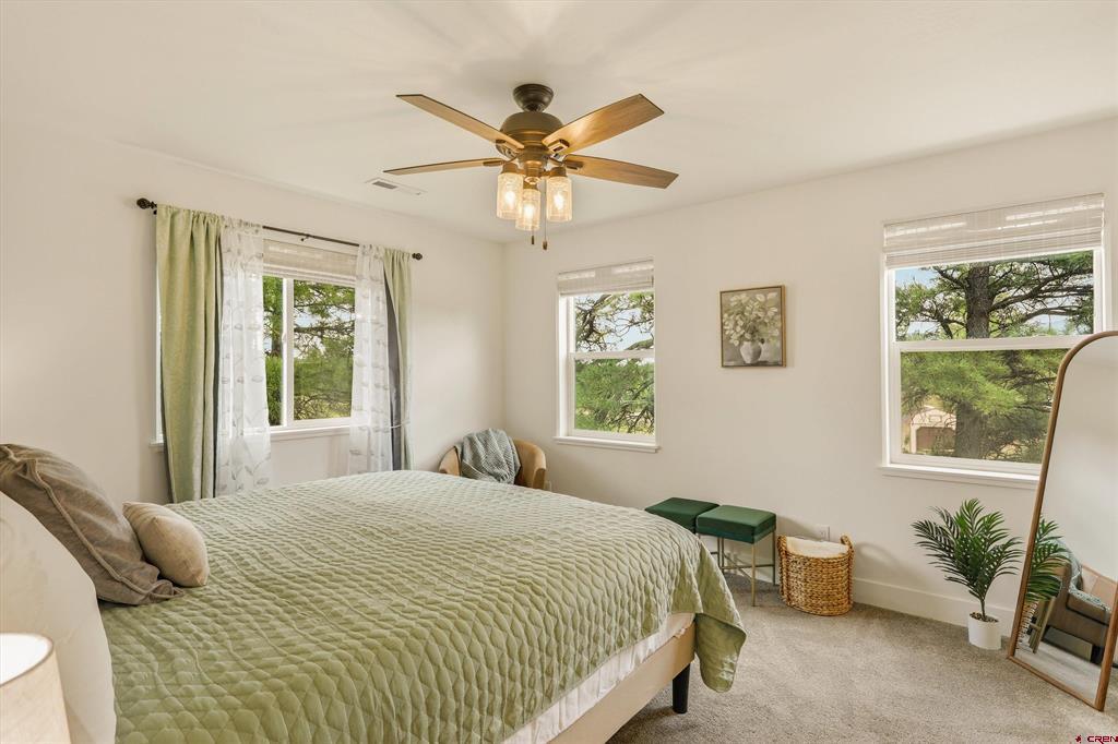 15 Home Court Pagosa Springs CO 81147