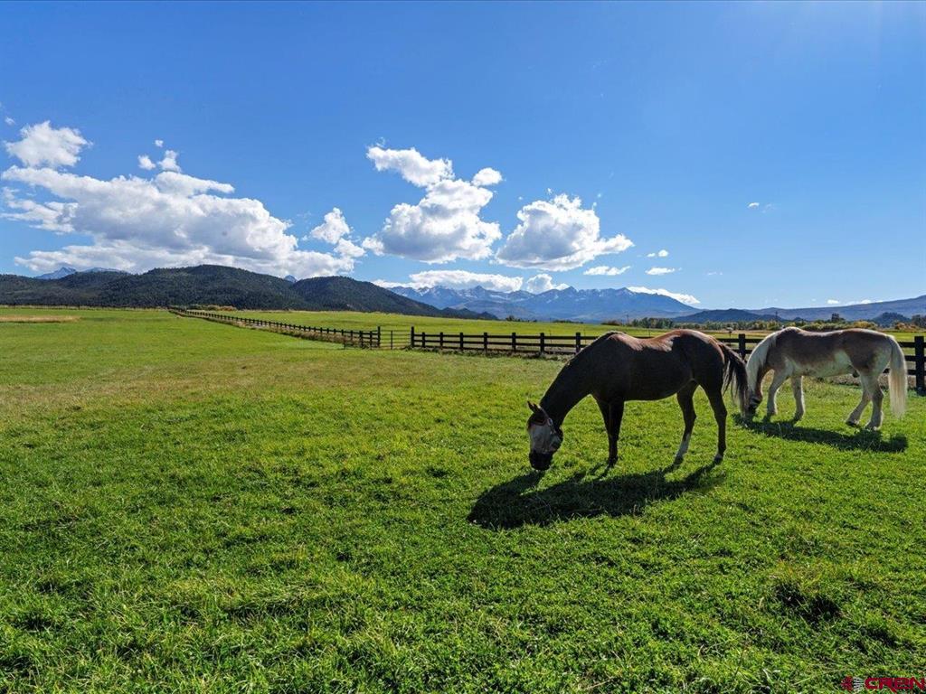 3232 County Road 24 Ridgway CO 81432