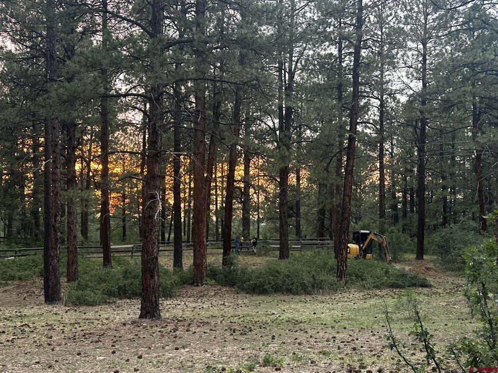 513 W Log Hill Road Pagosa Springs CO 81147