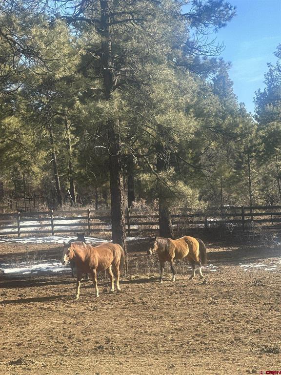 513 W Log Hill Road Pagosa Springs CO 81147