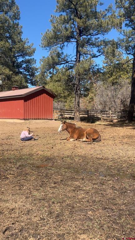 513 W Log Hill Road Pagosa Springs CO 81147