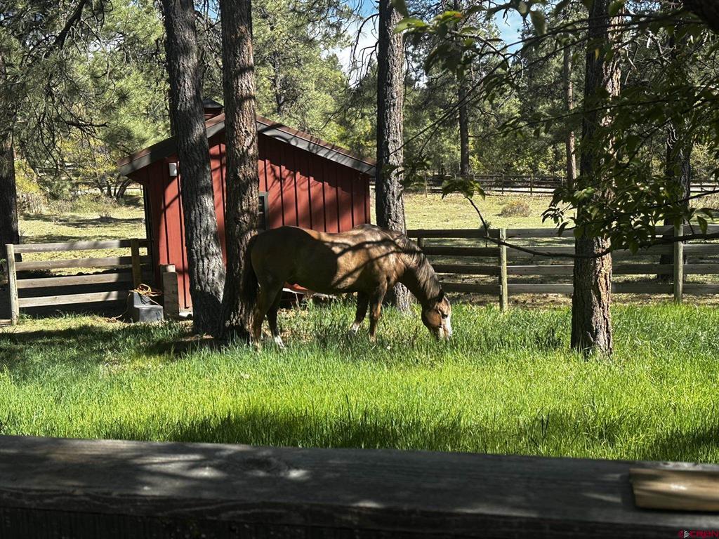 513 W Log Hill Road Pagosa Springs CO 81147