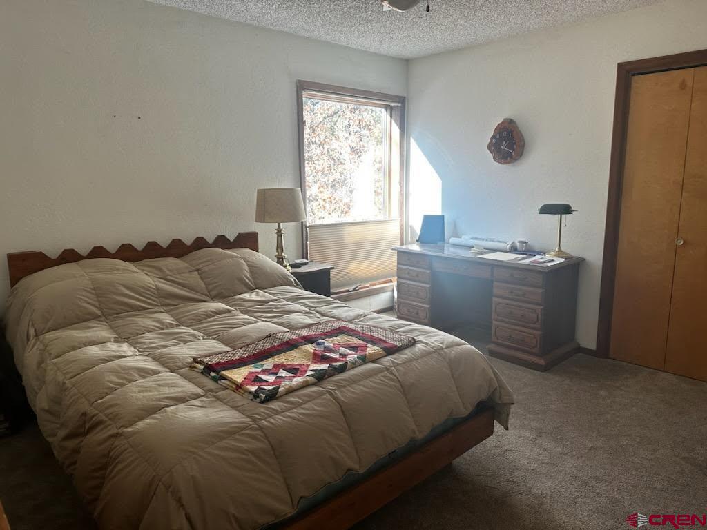 513 W Log Hill Road Pagosa Springs CO 81147
