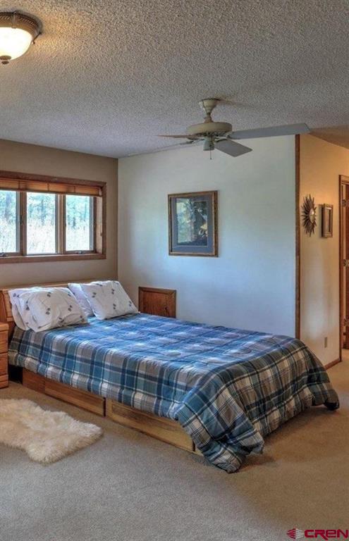 513 W Log Hill Road Pagosa Springs CO 81147