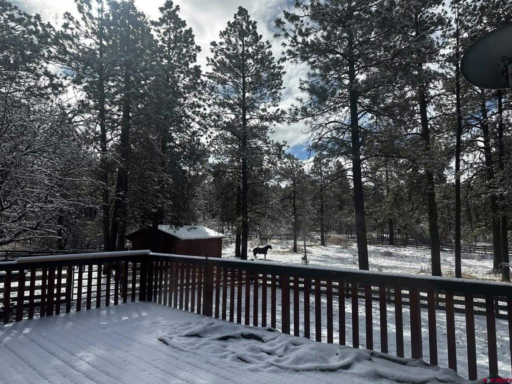 513 W Log Hill Road Pagosa Springs CO 81147