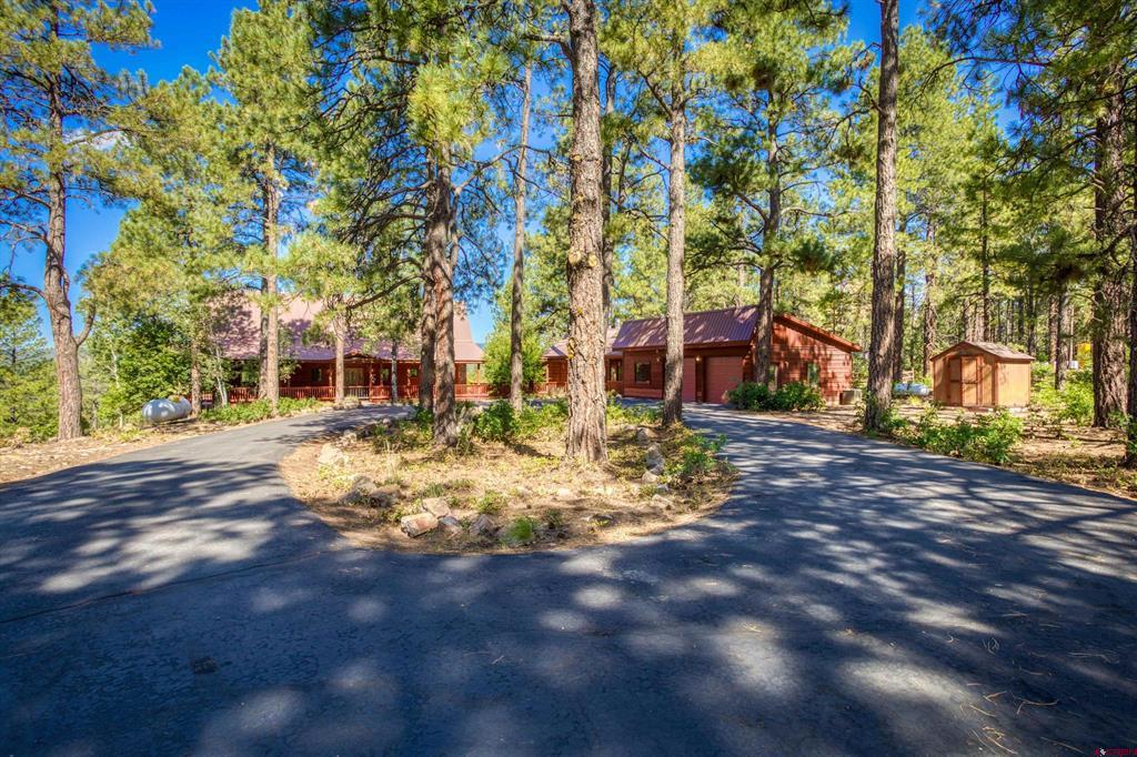 Pagosa Springs CO, 103 Cameo