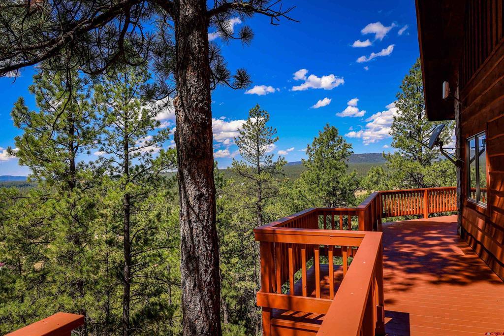 103 Cameo Court Pagosa Springs CO 81147