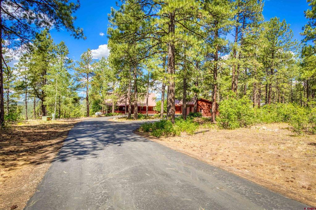 103 Cameo Court Pagosa Springs CO 81147