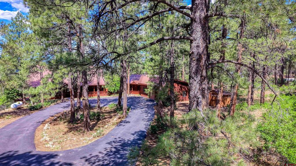 103 Cameo Court Pagosa Springs CO 81147