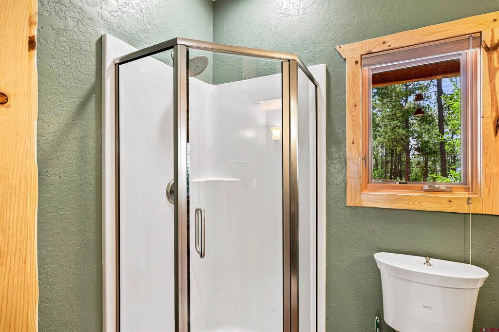 103 Cameo Court Pagosa Springs CO 81147