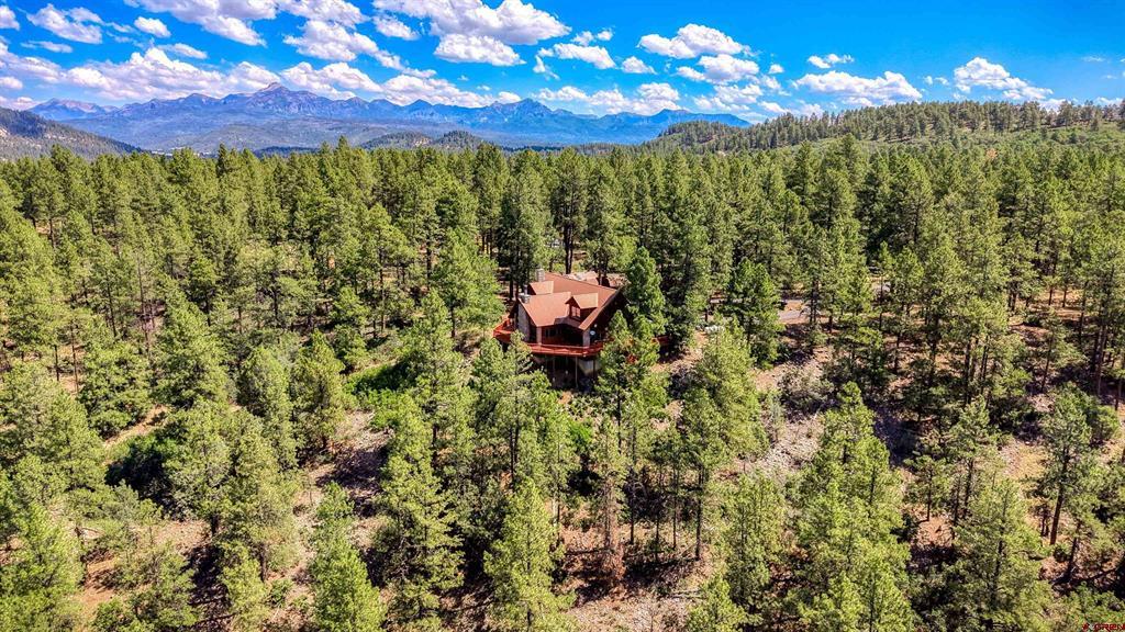 103 Cameo Court Pagosa Springs CO 81147