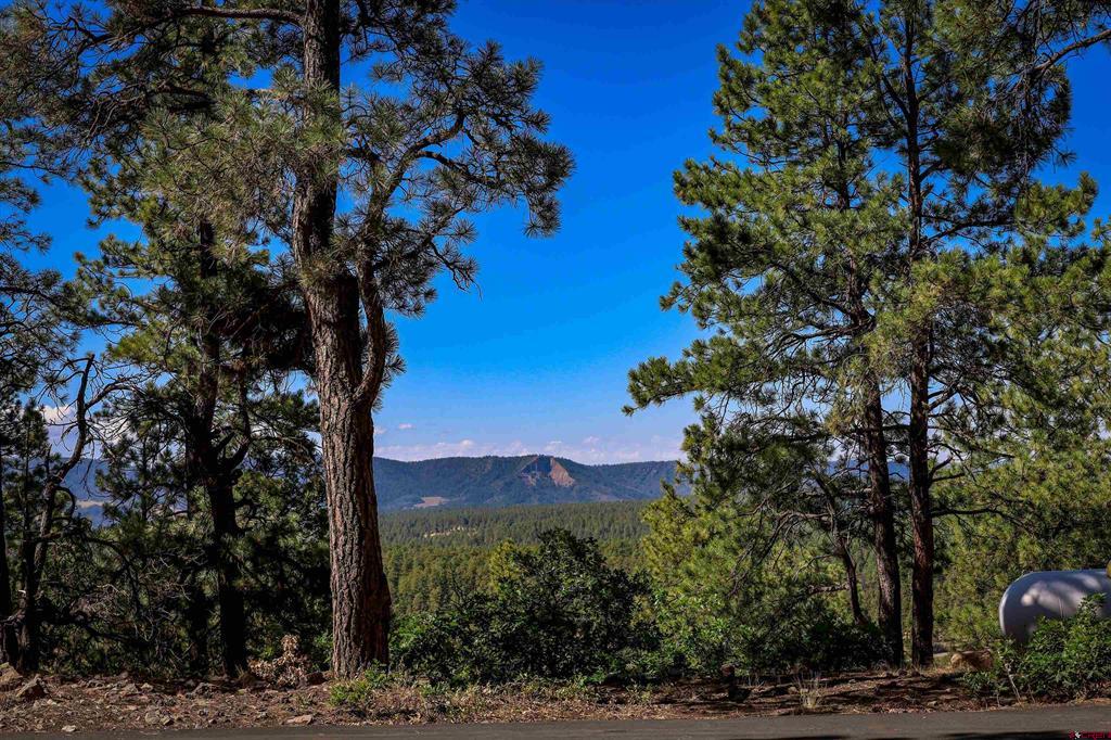 103 Cameo Court Pagosa Springs CO 81147