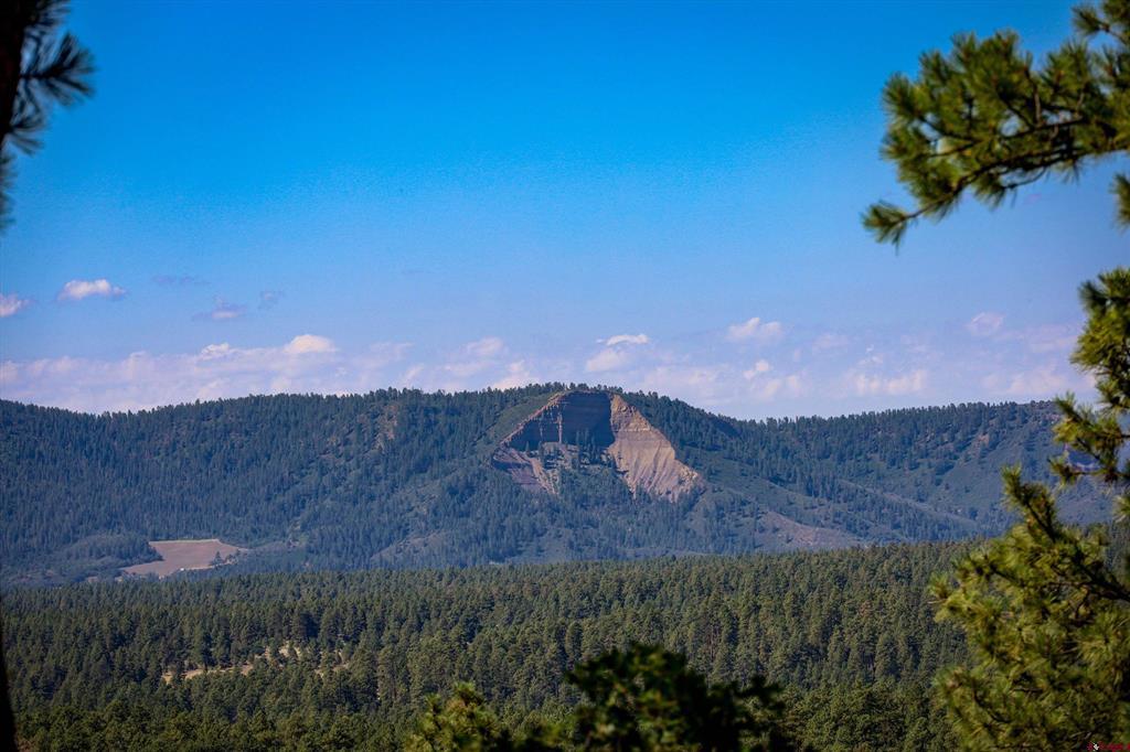 103 Cameo Court Pagosa Springs CO 81147