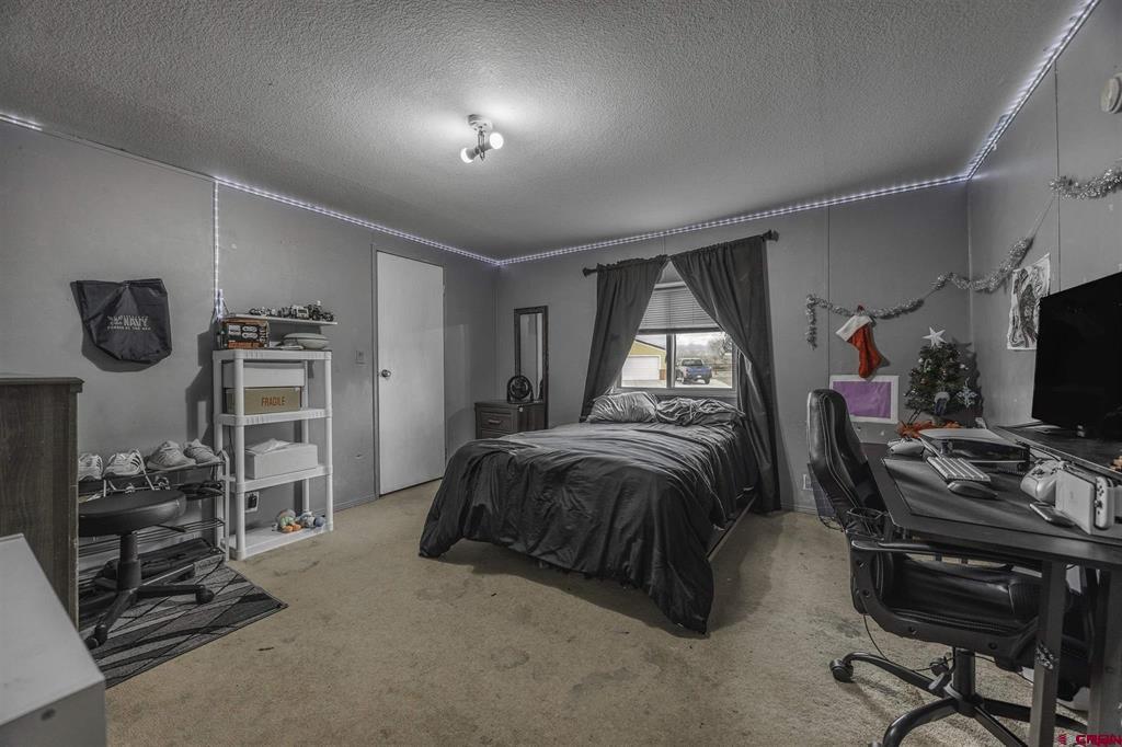 1900 Kellie Drive Montrose CO 81401