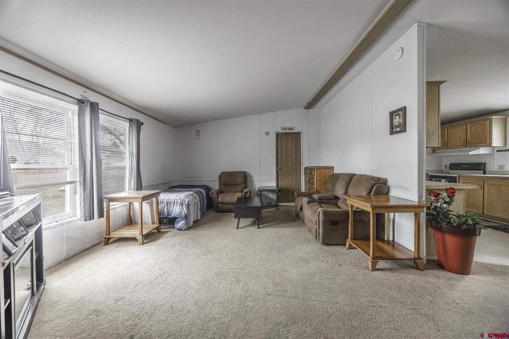 1900 Kellie Drive Montrose CO 81401