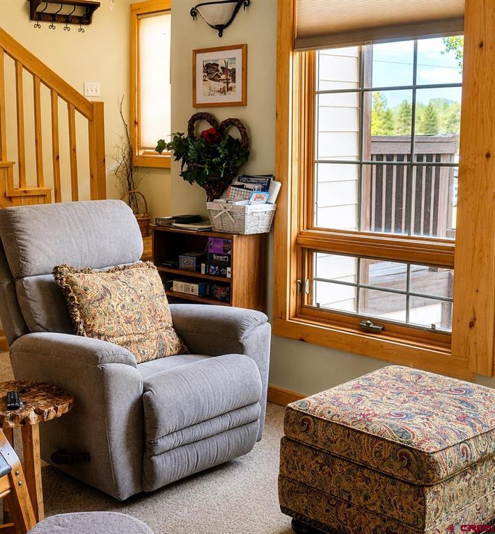 48 Texas Street South Fork CO 81154