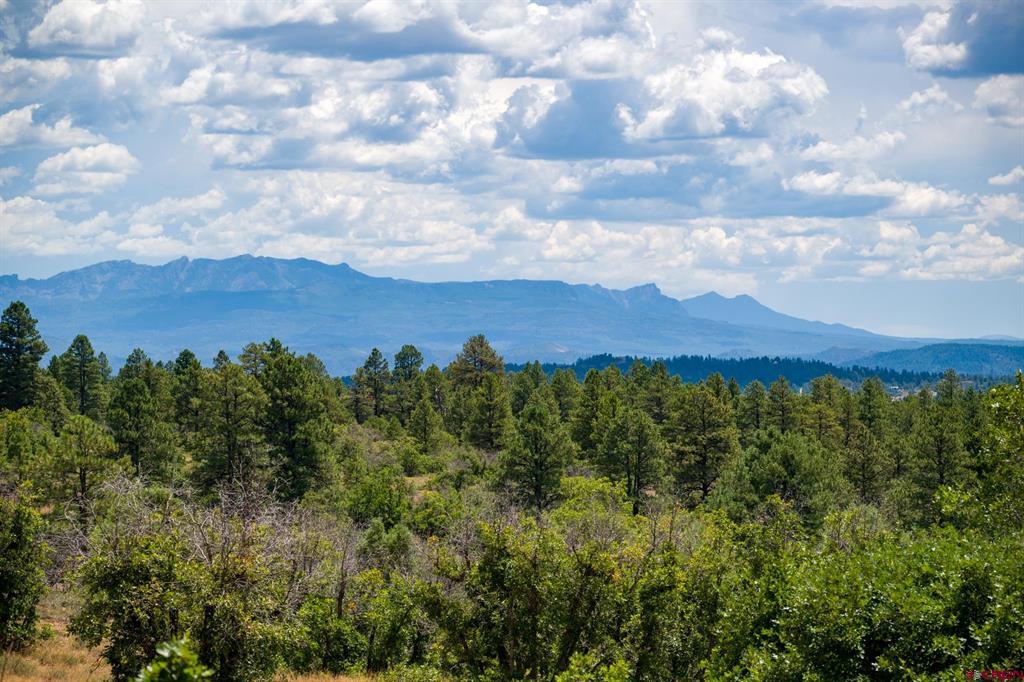 182 Alta Court Pagosa Springs CO 81147