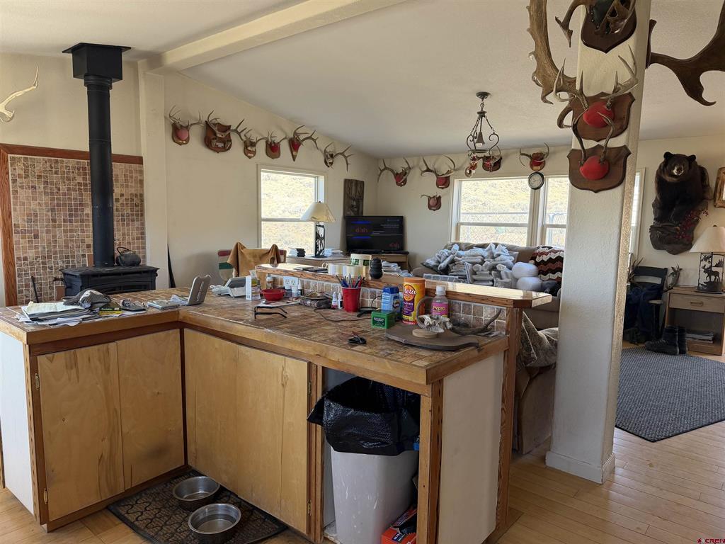56 Esty Lane Gunnison CO 81210