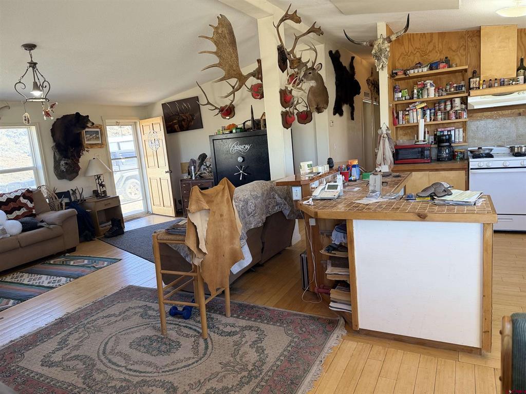 56 Esty Lane Gunnison CO 81210