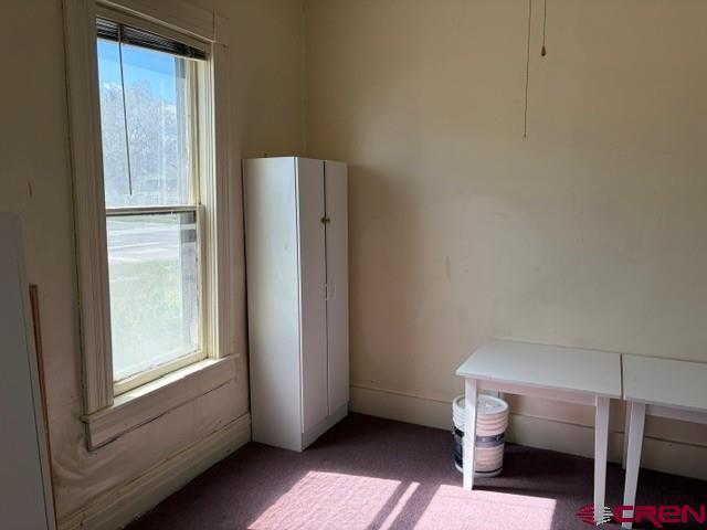 116 S Mary Street Ridgway CO 81432