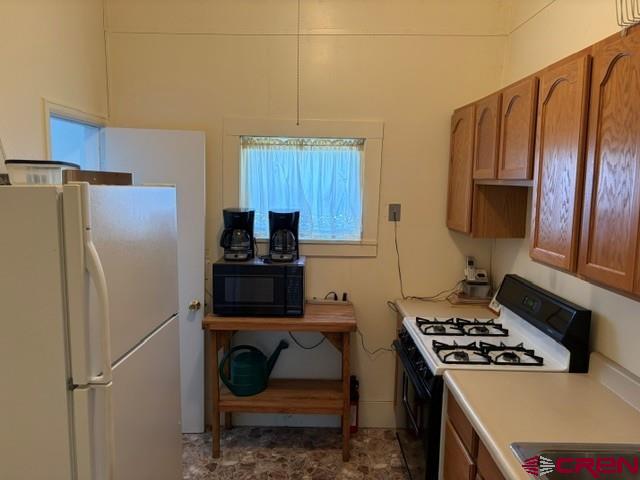 116 S Mary Street Ridgway CO 81432