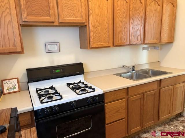 116 S Mary Street Ridgway CO 81432