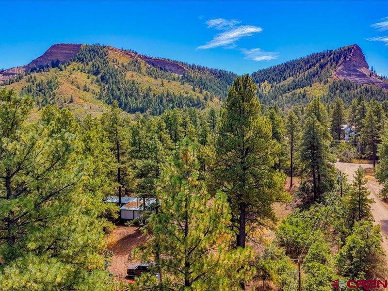 486 Hummingbird Place Pagosa Springs CO 81147